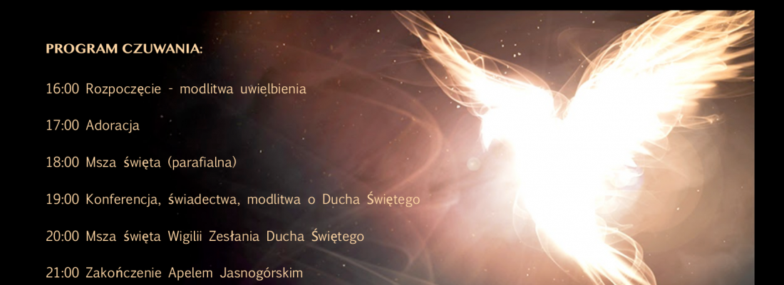 Wigilia Uroczystości Zesłania Ducha Świętego – Katowice